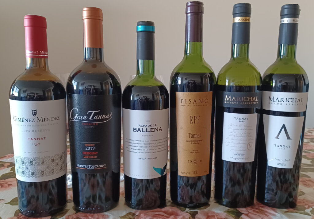 Discover 6 Delicious Tannat Wines for International Tannat Day