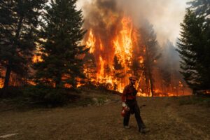 Firefighters Sound Alarm on Impending Wildfire Season