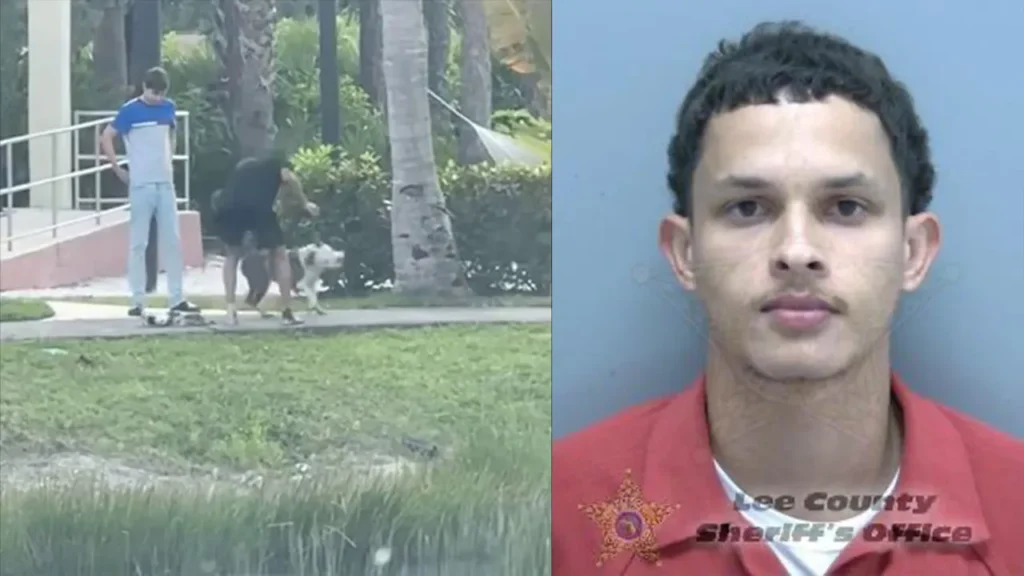 Violent Florida Man Caught on Video Abusing Puppy 
