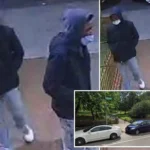 NYC Teen Robbery Crew Ambushes Over a Dozen Victims at Bronx Park in Months-Long Crime Spree: Police