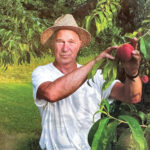 Tennessee Farmer Joe McClure Introduces Innovative Peach Variety