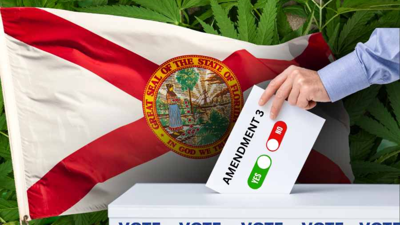Florida Voters: Think About Who Really Leads Mexico When You Vote on Marijuana
