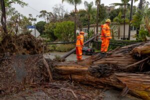 Storm Causes Fallen Trees and Power Outages in Orange County