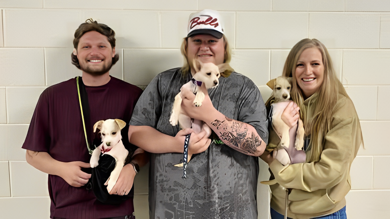 3 Puppies from A Texas Shelter Adopted by 3 People Who Work for Tyler Childers