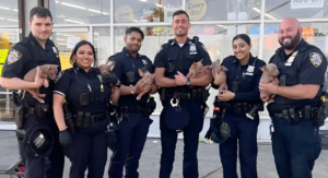 Police Save Puppies from Seller Who Trapped Them in Hot, Urine-Soaked Bags: Could’ve Been Dead’