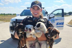 8 Puppies Were Saved from A Carrier that Didn't Have Water on A 100-Degree Texas Day