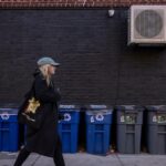 Rats feast on New York’s City’s bagged garbage. Can putting it in bins end the smorgasbord?