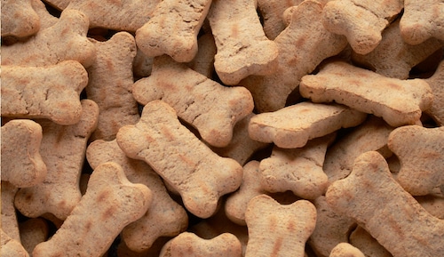 Dog treat recall: Throw away or return these 2 brands due to possible Salmonella contamination