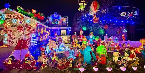 Dazzling holiday display on Staten Island doubles as fundraiser to save animals