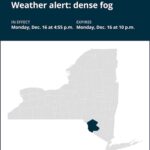 NY weather: Be prepared for dense fog in Sullivan County until Monday night