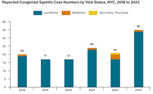 NYC data reports rise in syphilis transmission to babies during pregnancy, mirroring nationwide trend