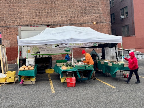 Organic farm Halal Pastures opens winter stand at St. George Greenmarket