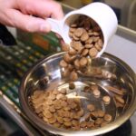 Pet food recall: Stop using this product immediately